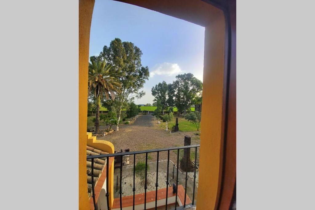 הוילה סביליה Cortijo San Jose מראה חיצוני תמונה