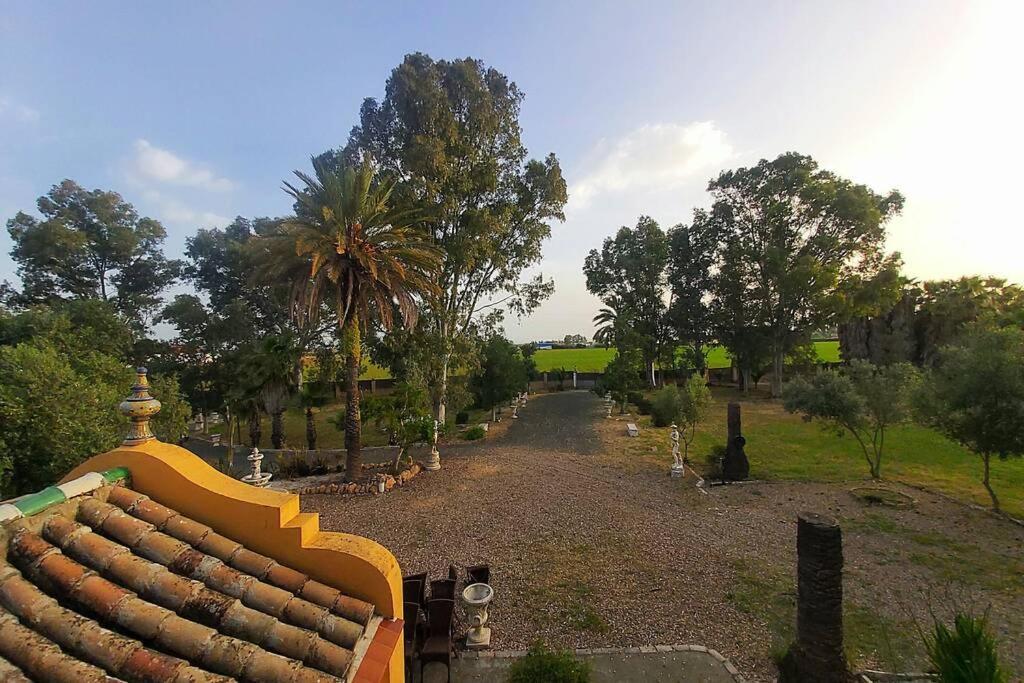 הוילה סביליה Cortijo San Jose מראה חיצוני תמונה